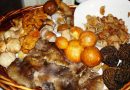 The Mushroom Festival in Grevena